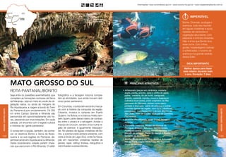 Informações: www.turismobrasil.gov.br - www.turismo.ms.gov.br - www.rotapantanalbonito.com.br


                                                                                                             Rico                                                              Rico




                                                                                                                                                                                             Imperdível
                                                                                                      Gruta do Lago
                                                                                                     Azul,em Bonito
                                                                                                                                                                                      Bonito. Diversão, ecologia e
                                                                                                                                                                                      aventura, tudo isso reunido
                                                                                                                                                                                      em águas cristalinas e azuis,
                                                                                                                                                                                      repletas de cardumes e
                                                                                                                                                                                      vegetação abundante, com
                                                                                                                                                                                      pássaros e animais silvestres.
                                                                                                                                                                                      Não é à toa que Bonito leva
                                                                                                                                                                                      esse nome. Com trilhas,
                                                                                                                                                                                      grutas, hospedagens rústicas
                                                                                                                                                                                      e sofisticadas, o turismo de
                                                                                                                                                                                      aventura é a grande pedida
                                                                                                                                                                                      desse Éden.

                                                                                                                                                                                         Dica importante

                                                                                                                                                                                       Melhor época para fazer
                                                                                                                                                                                      este roteiro: durante todo
                                                                                                                                                                                       o ano. Duração: 7 dias.



                      Mato grosso do sul                                                                                    PRINCIPAIS ATRATIVOS




                                                                                                                                                                                                                             Rico
                      ROTA PANTANAL/BONITO                                                                            • Artesanato (peças em cerâmica, cestaria,
                                                                                                                        argila, pedra, arenito, osso e chifre de gado,
                      Seja entre os paredões avermelhados que     fotográfico e a focagem noturna comple-               palha, madeira, fio de buriti, caraguatá,
                      compõem as formações rochosas da Serra      tam as atividades, que ainda incluem deli-            granito, carandá, bambu, couro e baguaçu),
                      de Maracaju, seja em meio ao verde da ve-   cioso jantar pantaneiro.                              culinária local (sobá, prato originário da ilha
                                                                                                                        japonesa de Okinawa, peixes como pacu,
                      getação nativa, ou ainda às margens do
                                                                  Em Corumbá, o turista tem encontro marca-             pintado e dourado, caldo de piranha e outras
                      Rio Aquidauana, a viagem a bordo do Trem                                                          comidas típicas da região, com forte influência
                                                                  do com a história da conquista da região.
Região Centro-oeste




                                                                                                                                                                                                                               Região Centro-oeste
                      do Pantanal é puro encantamento. Os 200                                                           paraguaia), manifestações culturais (Banho de
                      km entre Campo Grande e Miranda são         Casarios, museus e compras em Puerto                  São João, Viola de Cocho, Vivência da Comitiva
                      percorridos em aproximadamente oito ho-     Quijarro, na Bolívia, e os barcos-hotéis tam-         Pantaneira).
                      ras, passando por onze estações. Em cada    bém fazem parte desse roteiro de contras-           • Miranda: Rio Miranda, safári fluvial, focagem
                      parada, um encontro com o legado cultural   tes entre o urbano e o selvagem. Avistar o            noturna.
                      e histórias da “gente pantaneira”.          maciço do Urucum, cenário único numa re-            • Corumbá: casarios, Museu de História do
                                                                  gião de planície, é igualmente inesquecí-             Pantanal, Estação Natureza, barcos-hotéis,
                      O turista tem a opção, também, de conhe-    vel. No paraíso de águas cristalinas de Bo-           Passo do Lontra, Estrada Parque Pantanal Sul,
                      cer os destinos Bonito e Serra da Bodo-     nito, a aventura está sempre presente, com            Maciço de Urucum, Porto da Manga e Puerto
132                                                                                                                     Quijarro, na Bolívia.                                                                                133
                      quena e as sub-regiões do Pantanal, de-     visita à Gruta do Lago Azul, onde há flutua-
                      sembarcando em Aquidauana ou Miranda.       ção em nascentes cristalinas repleta de             • Bonito: Gruta do Lago Azul, Abismo Anhumas,
                                                                                                                        Rio da Prata, Lagoa Misteriosa, Rio Formoso,
                      Desta bicentenária cidade partem chala-     peixes, rapel, rafting, tirolesa, mergulhos e
                                                                                                                        Gruta do Mimoso.
                      nas que percorrem o Rio Miranda. O safári   caminhadas surpreendentes.                                                                                                                Rio da Prata
 