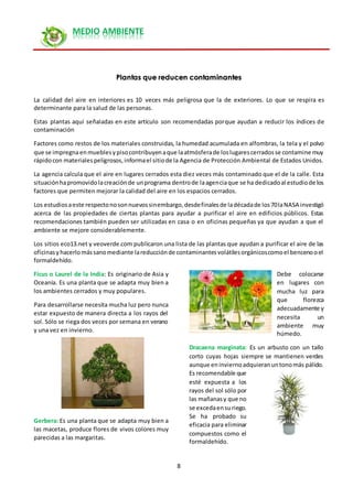 8
MEDIO AMBIENTE
Plantas que reducen contaminantes
La calidad del aire en interiores es 10 veces más peligrosa que la de exteriores. Lo que se respira es
determinante para la salud de las personas.
Estas plantas aquí señaladas en este artículo son recomendadas porque ayudan a reducir los índices de
contaminación
Factores como restos de los materiales construidas, la humedad acumulada en alfombras, la tela y el polvo
que se impregnaenmueblesypisocontribuyenaque laatmósferade loslugarescerradosse contamine muy
rápidocon materialespeligrosos,informael sitiode la Agencia de Protección Ambiental de Estados Unidos.
La agencia calcula que el aire en lugares cerrados esta diez veces más contaminado que el de la calle. Esta
situaciónhapromovidolacreaciónde unprograma dentrode laagenciaque se ha dedicadoal estudiode los
factores que permiten mejorar la calidad del aire en los espacios cerrados.
Los estudiosaeste respectonosonnuevossinembargo,desdefinalesde ladécadade los70laNASA investigó
acerca de las propiedades de ciertas plantas para ayudar a purificar el aire en edificios públicos. Estas
recomendaciones también pueden ser utilizadas en casa o en oficinas pequeñas ya que ayudan a que el
ambiente se mejore considerablemente.
Los sitios eco13.net y veoverde.com publicaron una lista de las plantas que ayudan a purificar el aire de las
oficinasyhacerlomássanomediante lareducciónde contaminantesvolátilesorgánicoscomoel bencenooel
formaldehído.
Ficus o Laurel de la India: Es originario de Asia y
Oceanía. Es una planta que se adapta muy bien a
los ambientes cerrados y muy populares.
Para desarrollarse necesita mucha luz pero nunca
estar expuesto de manera directa a los rayos del
sol. Sólo se riega dos veces por semana en verano
y una vez en invierno.
Gerbera: Es una planta que se adapta muy bien a
las macetas, produce flores de vivos colores muy
parecidas a las margaritas.
Debe colocarse
en lugares con
mucha luz para
que florezca
adecuadamente y
necesita un
ambiente muy
húmedo.
Dracaena marginata: Es un arbusto con un tallo
corto cuyas hojas siempre se mantienen verdes
aunque eninviernoadquieranuntonomás pálido.
Es recomendable que
esté expuesta a los
rayos del sol sólo por
las mañanasy que no
se excedaensuriego.
Se ha probado su
eficacia para eliminar
compuestos como el
formaldehído.
 