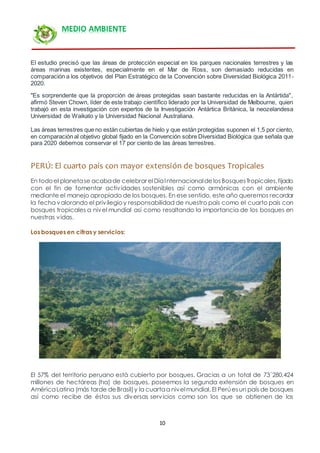 10
MEDIO AMBIENTE
El estudio precisó que las áreas de protección especial en los parques nacionales terrestres y las
áreas marinas existentes, especialmente en el Mar de Ross, son demasiado reducidas en
comparación a los objetivos del Plan Estratégico de la Convención sobre Diversidad Biológica 2011-
2020.
"Es sorprendente que la proporción de áreas protegidas sean bastante reducidas en la Antártida",
afirmó Steven Chown, líder de este trabajo científico liderado por la Universidad de Melbourne, quien
trabajó en esta investigación con expertos de la Investigación Antártica Británica, la neozelandesa
Universidad de Waikato y la Universidad Nacional Australiana.
Las áreas terrestres que no están cubiertas de hielo y que están protegidas suponen el 1,5 por ciento,
en comparación al objetivo global fijado en la Convención sobre Diversidad Biológica que señala que
para 2020 debemos conservar el 17 por ciento de las áreas terrestres.
PERÚ: El cuarto país con mayor extensión de bosques Tropicales
En todoel planetase acabade celebrar elDíaInternacionaldelosBosquesTropicales,fijado
con el fin de fomentar actividades sostenibles así como armónicas con el ambiente
mediante el manejo apropiado de los bosques. En ese sentido, este año queremos recordar
la fecha valorando el privilegioy responsabilidad de nuestro país como el cuarto país con
bosques tropicales a nivel mundial así como resaltando la importancia de los bosques en
nuestras vidas.
Los bosques en cifras y servicios:
El 57% del territorio peruano está cubierto por bosques. Gracias a un total de 73´280,424
millones de hectáreas (ha) de bosques, poseemos la segunda extensión de bosques en
AméricaLatina (más tarde deBrasil)y la cuartaa nivelmundial. El Perúesun país de bosques
así como recibe de éstos sus diversas servicios como son los que se obtienen de los
 