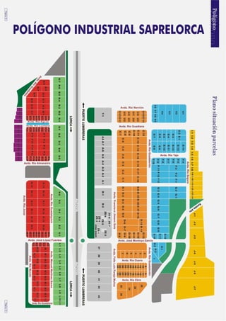 Revista saprelorca 2009