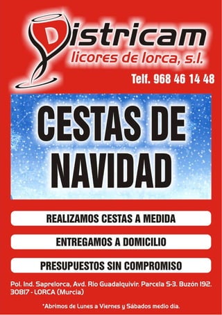 Revista saprelorca 2009