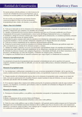 Revista saprelorca 2009