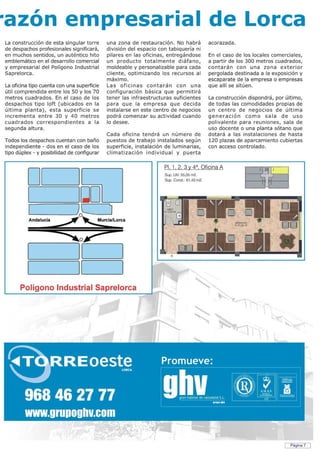 Revista saprelorca 2009