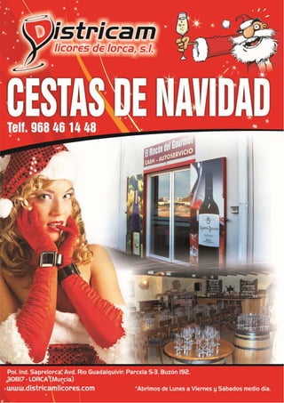 Revista saprelorca 2010