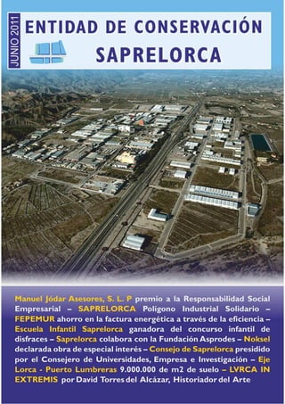 Revista saprelorca 2011