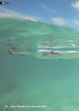 SCJ NUMERO 6:Maquetación 1 05/03/13 14:27 Página 20



      scj.




      20      lirios blancos en la tierra del olivo
 