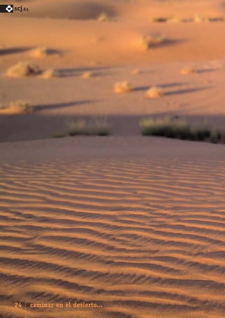 SCJ NUMERO 6:Maquetación 1 05/03/13 14:27 Página 24



      scj.




      24      caminar en el desierto...
 