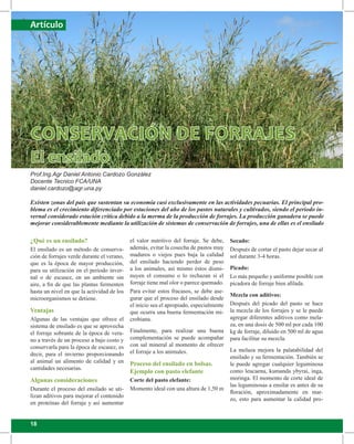18
Artículo
Existen zonas del país que sustentan su economía casi exclusivamente en las actividades pecuarias. El principal pro-
blema es el crecimiento diferenciado por estaciones del año de los pastos naturales y cultivados, siendo el periodo in-
vernal considerado estación crítica debido a la merma de la producción de forrajes. La producción ganadera se puede
mejorar considerablemente mediante la utilización de sistemas de conservación de forrajes, una de ellas es el ensilado
Conservación de forrajes
el ensilado
Prof.Ing.Agr Daniel Antonio Cardozo González
Docente Tecnico FCA/UNA
daniel.cardozo@agr.una.py
¿Qué es un ensilado?
El ensilado es un método de conserva-
ción de forrajes verde durante el verano,
que es la época de mayor producción,
para su utilización en el periodo inver-
nal o de escasez, en un ambiente sin
aire, a fin de que las plantas fermenten
hasta un nivel en que la actividad de los
microorganismos se detiene.
Ventajas
Algunas de las ventajas que ofrece el
sistema de ensilado es que se aprovecha
el forraje sobrante de la época de vera-
no a través de un proceso a bajo costo y
conservarla para la época de escasez, es
decir, para el invierno proporcionando
al animal un alimento de calidad y en
cantidades necesarias.
Algunas consideraciones
Durante el proceso del ensilado se uti-
lizan aditivos para mejorar el contenido
en proteínas del forraje y así aumentar
el valor nutritivo del forraje. Se debe,
además, evitar la cosecha de pastos muy
maduros o viejos pues baja la calidad
del ensilado haciendo perder de peso
a los animales, así mismo éstos dismi-
nuyen el consumo o lo rechazan si el
forraje tiene mal olor o parece quemado.
Para evitar estos fracasos, se debe ase-
gurar que el proceso del ensilado desde
el inicio sea el apropiado, especialmente
que ocurra una buena fermentación mi-
crobiana.
Finalmente, para realizar una buena
complementación se puede acompañar
con sal mineral al momento de ofrecer
el forraje a los animales.
Proceso del ensilado en bolsas.
Ejemplo con pasto elefante
Corte del pasto elefante:
Momento ideal con una altura de 1,50 m
Secado:
Después de cortar el pasto dejar secar al
sol durante 3-4 horas.
Picado:
Lo más pequeño y uniforme posible con
picadora de forraje bien afilada.
Mezcla con aditivos:
Después del picado del pasto se hace
la mezcla de los forrajes y se le puede
agregar diferentes aditivos como mela-
za, en una dosis de 500 ml por cada 100
kg de forraje, diluido en 500 ml de agua
para facilitar su mezcla.
La melaza mejora la palatabilidad del
ensilado y su fermentación. También se
le puede agregar cualquier leguminosa
como leucaena, kumanda ybyrai, inga,
moringa. El momento de corte ideal de
las leguminosas a ensilar es antes de su
floración, aproximadamente en mar-
zo, esto para aumentar la calidad pro-
 