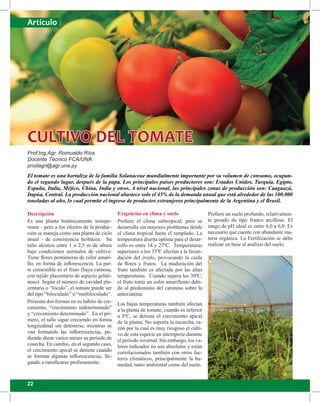 22
Descripción
Es una planta botánicamente semipe-
renne - pero a los efectos de la produc-
ción se maneja como una planta de ciclo
anual - de consistencia herbácea. Su
tallo alcanza entre 1 a 2,5 m de altura
bajo condiciones normales de cultivo.
Tiene flores pentámeras de color amari-
llo, en forma de inflorescencia. La par-
te comestible es el fruto (baya carnosa,
con tejido placentario de aspecto gelati-
noso). Según el número de cavidad pla-
centaria o “lóculo”, el tomate puede ser
del tipo “biloculado” o “multiloculado”.
Presenta dos formas en su hábito de cre-
cimiento, “crecimiento indeterminado”
y “crecimiento determinado”. En el pri-
mero, el tallo sigue creciendo en forma
longitudinal sin detenerse, mientras se
van formando las inflorescencias, pu-
diendo durar varios meses su período de
cosecha. En cambio, en el segundo caso,
el crecimiento apical se detiene cuando
se forman algunas inflorescencias, lle-
gando a ramificarse profusamente.
Exigencias en clima y suelo
Prefiere el clima subtropical, pero se
desarrolla sin mayores problemas desde
el clima tropical hasta el templado. La
temperatura diurna óptima para el desar-
rollo es entre 18 y 27ºC. Temperaturas
superiores a los 35ºC afectan a la fecun-
dación del óvulo, provocando la caída
de flores y frutos. La maduración del
fruto también es afectada por las altas
temperaturas. Cuando supera los 30ºC,
el fruto toma un color amarillento debi-
do al predominio del caroteno sobre la
antocianina.
Las bajas temperaturas también afectan
a la planta de tomate; cuando es inferior
a 8ºC, se detiene el crecimiento apical
de la planta. No soporta la escarcha, ra-
zón por la cual es muy riesgoso el culti-
vo de esta especie en intemperie durante
el período invernal. Sin embargo, los va-
lores indicados no son absolutos y están
correlacionados también con otros fac-
tores climáticos, principalmente la hu-
medad, tanto ambiental como del suelo.
Prefiere un suelo profundo, relativamen-
te pesado de tipo franco arcilloso. El
rango de pH ideal es entre 6,0 a 6,8. Es
necesario que cuente con abundante ma-
teria orgánica. La Fertilización se debe
realizar en base al análisis del suelo.
CULTIVO DEL TOMATE
Prof.Ing.Agr. Romualdo Ríos
Docente Técnico FCA/UNA
prodagri@agr.una.py
El tomate es una hortaliza de la familia Solanaceae mundialmente importante por su volumen de consumo, ocupan-
do el segundo lugar, después de la papa. Los principales países productores son: Estados Unidos, Turquía, Egipto,
España, Italia, Méjico, China, India y otros. A nivel nacional, las principales zonas de producción son: Caaguazú,
Itapúa, Central. La producción nacional abastece solo el 45% de la demanda anual que está alrededor de las 100.000
toneladas al año, lo cual permite el ingreso de productos extranjeros principalmente de la Argentina y el Brasil.
Artículo
 