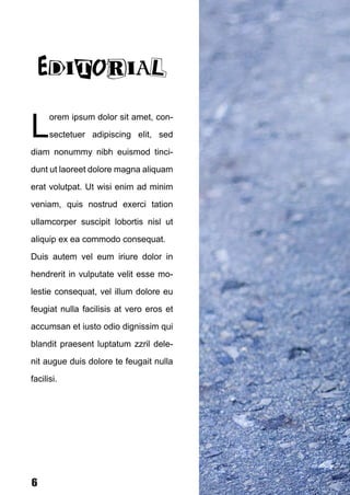 L
      orem ipsum dolor sit amet, con-

      sectetuer adipiscing elit, sed

diam nonummy nibh euismod tinci-

dunt ut laoreet dolore magna aliquam

erat volutpat. Ut wisi enim ad minim

veniam, quis nostrud exerci tation

ullamcorper suscipit lobortis nisl ut

aliquip ex ea commodo consequat.

Duis autem vel eum iriure dolor in

hendrerit in vulputate velit esse mo-

lestie consequat, vel illum dolore eu

feugiat nulla facilisis at vero eros et

accumsan et iusto odio dignissim qui

blandit praesent luptatum zzril dele-

nit augue duis dolore te feugait nulla

facilisi.




6
 
