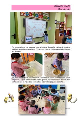 EDUCACIÓN INFANTIL
Olaya López López
53 | P á g i n a
E o encargado do día levaba a cabo a limpeza da casiña, darlles de comer e
poñerlles auga limpa para beber.Cómo nos gusta ter responsabilidades! Somos
moi maiores!
Foi unha experiencia extraordinaria. Disfrutamos todos moitísimo dos nosos
amiguiños. Agora están vivindo nunha granxa en compañía de moitos máis
pitiños, xa que no noso cole comezaba a facerselles pequena a casiña…
 