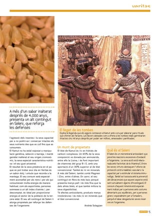 A més d’un sabor inalterat
després de 4.000 anys,
presenta un alt contingut
en Seleni, que reforça
les defenses
                                                  El llegat de les tombes
                                                  Explica la llegenda que els egipcis conreaven el Kamut amb cura per elaborar pans rituals
                                                  que oferien als faraons. Les llavors deixades com a ofrena a les tombes reials germinarien
l’agressió dels insectes i la seva capacitat      intactes cinc mil anys després per poder ser mòltes, amassades i panificades.
per a no podrir-se i conservar intactes els
seus nutrients des que es cull fins que es
consumeix.                                      Un munt de propietats
El Kamut no ha estat exposat a manipu-          El blat de Kamut és ric en hidrats de              Què és el Seleni
lació genètica, selecció o barreja, i manté     carboni complexos. Un 65% de la seva               El Seleni és un micromineral antioxidant que
gairebé inalterat el seu origen cromosò-        composició ve donada per aminoàcids,               prevé les reaccions excessives d’oxidació
mic, la seva especial característica nutriti-   entre ells la Lisina, i és font important          a l’organisme. La seva acció està relacio-
va i el seu gust ancestral.                     de vitamines del grup B i E, amb una               nada amb l’activitat de la Vitamina E. Entre
El resultat de la seva presència en el pa       aportació d’un 30% superior al de blat             les seves virtuts destaquen l’ efecte de
que es pot trobar avui dia en Veritas és        convencional. També és ric en minerals.            protecció contra malalties vasculars i la
un sabor dolç i untuós que recorda a la         A més del Seleni, també conté Magnesi              capacitat per a estimular el sistema immu-
mantega. El seu consum està especial-           i Zinc, entre d’altres. En canvi, el seu           nològic. També se li associa amb la prevenció
ment aconsellat per als nens i per als qui      contingut en fibra és més baix perquè              del càncer encara que aquest aspecte està
                                                                                                              ,
consumeixen molta energia de manera             presenta menys pell i és més fina que la           sent actualment ob   jecte d’investigació. El
habitual, com els esportistes, persones         dels altres blats, el que també millora la         consum d’aquest mineral està especial-
sotmeses a un alt índex d’estrès i, per         seva digestibilitat.                               ment indicat per a persones amb costums
descomptat, és ideal per proporcionar           Té efectes antioxidants, produeix menys            alimentaris poc equilibrats, per a persones
energia al sector de la població de la ter-     intoleràncies i és més ric en minerals que         grans i especialment per a fumadors,
cera edat. El seu alt contingut de Seleni li    el blat convencional.                              perquè el tabac desgasta les seves reser   -
atorga propietats per reforçar les defen-                                                          ves en l’organisme.
ses de l’organisme.                                                        Andrés Solagüen

                                                                                                                                                   
 