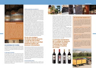 Els llevats naturals donen personalitat al vi
                                                                               Perquè el most esdevingui en vi els seus sucres s’han de transformar
                                                                               en alcohol, ha de fermentar. Normalment ho fa de forma natural
                                                                               amb els llevats que es troben a la pell del raïm, però a la viticultura
                                                                               convencional es fan servir uns químics tan potents que a més de
                                                                               lliurar a la vinya de les seves plagues i malalties també li maten els
                                                                               llevats. D’aquesta forma, quan arriba el moment de la fermentació
                                                                                                                                                           diferents en funció de la fusta utilitzada per elaborar la barrica.
                                                                               del most convencional, aquesta no es produeix a menys que
                                                                                                                                                           La segona és que l’estada en barrica farà que el vi es conservi
                                                                               s’afegeixin llevats químics, el fer servir químics al començament
                                                                                                                                                           millor durant molt més temps. El que fa que un vi es posi dolent        Els vins del Celler Quaderna Via
                                                                               del procés et fa necessari continuar fent-los servir fins al final. Això
                                                                                                                                                           és l’oxidació, el contacte amb l’oxigen de l’aire. És per això que
                                                                               és així al 100% dels vins blancs convencionals i en un percentatge                                                                                  El vi jove, Initium. És fresc, afruitat i fàcil de beure, sense
                                                                                                                                                           si deixem una ampolla de vi oberta a l’endemà el vi ja no està
                                                                               molt elevat dels vins negres convencionals.                                                                                                         cap mena de dubte el millor vi jove ecològic del mercat.
                                                                                                                                                           en bones condicions. El que passa amb el vi dins de la barrica
                                                                               En els vins ecològics, al contrari, els llevats naturals del raïm arriben                                                                           És el vi més venut als supermercats Veritas. És un vi que
                                                                                                                                                           és que entra en contacte amb oxigen però d’una forma molt més
                                                                               al most, de forma que no cal afegir ni treure res per provocar el                                                                                   no ha passat massa temps en barrica i per gaudir al màxim
        Initium, el començament                                                procés de fermentació. A més, i donat els monopolis de les
                                                                                                                                                           controlada: ho fa a través dels pors de la fusta de la barrica i per
                                                                                                                                                           tota la seva superfície. D’aquesta forma el vi no s’oxida sinó que es   de les seves possibilitats és millor consumir-lo abans de 2
        “Initium vol dir ‘començament’ en llatí. Quan ens                      indústries químiques, el que acaba passant és que pràcticament
                                                                                                                                                           micro-oxigena, incorporant oxigen de forma que després trigarà          anys des de la seva compra.
        vam reunir amb Veritas per primer cop les dues                         tots els elaboradors convencionals de cada zona acaben fent servir
        empreses eren empreses joves, que estaven                                                                                                          molt més a oxidar-se un cop estigui a l’ampolla.
                                                                               els mateixos químics per a combatre les plagues i els mateixos                                                                                      El semi-criança, Quaderna Via Especial. Aquest
        començant. Vam veure clar que la millor forma                                                                                                      Tot i això, hi ha un conservant que és imprescindible i que
                                                                               llevats per elaborar els seus vins, amb el que s’ha arribat a una                                                                                   vi ha passat 5 mesos en barrica, el que li dona una
        de donar les primeres passes en aquest camí de                                                                                                     l’agricultura ecològica permet: els sulfits. Els sulfits ajudaran
                                                                               homogeneïtzació dels sabors al mercat convencional que fa molt                                                                                      qualitat equiparable a la de qualsevol criança del mercat
        la producció i comercialització de vi ecològic era                                                                                                 al vi a no oxidar-se, de fet si no s’afegissin el vi d’un any
                                                                               difícil distingir un Rioja d’un altre; fins i tot els de diferents D.O.                                                                             però mantenint un punt de frescor que el fa apte per a
        donant-nos la ma i fent-nos costat l’una a l’altra.                                                                                                no aguantaria apte per al consum ni tan sols fins a l’any
                                                                               estan començant a semblar-se molt. Com no ho han de fer si tots                                                                                     qualsevol ocasió: es perfecte tan per beure’l a diari com per
        Veritas ens va proposar vendre en exclusiva a                                                                                                      següent. La gran diferència en aquest aspecte respecte als vins
                                                                               estan elaborats amb el mateix raïm ‘tempranillo’ fumigat amb                                                                                        compartir-lo en una ocasió especial.
        Espanya el vi Initium, que fins aleshores només                                                                                                    convencionals és que gràcies a tot el procés de producció no
14
                                                                               exactament el mateix pesticida, han fermentat amb exactament el                                                                                                                                                       15
        veníem a l’estranger. A data d’avui el 90% de                                                                                                      cal afegir tants sulfits com als vins convencionals (fins a tres
                                                                               mateix llevat sintètic, han passat 6 mesos en barrica de roure americà                                                                              Quaderna Via Criança. Aquest vi ha passat un any en
        les ampolles d’Initium que produïm es venen a                                                                                                      cops menys). Així, els consumidors que tenen sensibilitat a
                                                                               i 6 mesos més en ampolla abans d’arribar a la nostra taula?                                                                                         barrica i un any en ampolla abans de sortir al mercat. Això
        Veritas, que és l’únic lloc on es pot trobar”, ens                                                                                                 aquests productes químics i que poden patir efectes negatius
                                                                                                                                                                                                                                   fa que estigui en perfectes condicions 5 anys a casa, hi ha
        expliquen els Germans Ripa, propietaris del Celler
        Quaderna Via.
                                                                               En els vins ecològics                                                       com mal de cap amb una sola copa de vi convencional no es
                                                                                                                                                           veuen afectats al beure vi ecològic.                                    criances que poden arribar a aguantar fins a 10 anys sense
                                                                               els llevats naturals presents                                                                                                                       perdre qualitat.
                                                                                                                                                           La principal característica
                                                                               a la pell del raïm arriben
                                                                                                                                                           del vi ecològic és l’absència                                           Quaderna Via Reserva. El millor que poden oferir els
                                                                               al most, així que no cal afegir                                                                                                                     Cellers Quaderna Via, aquest vi ha passat 3 anys entre
                                                                                                                                                           de pesticides, fungicides                                               barrica i ampolla amb supervisió constant. Les ampolles
                                                                               productes químics per
                                                                                                                                                           i herbicides per tractar                                                s’emmagatzemen tombades per tal que el suro estigui
     Les avantatges del vi ecològic                                            provocar la fermentació                                                                                                                             sempre humit i dilatat i no entri gens d’oxigen a l’ampolla
     Les diferències entre un vi ecològic i un convencional són moltes,                                                                                    les possibles malalties                                                 que pugui malmetre el vi.
     tan a nivell de viticultura (conreu de la vinya) com de vinicultura
     (elaboració del vi), i estan molt relacionades entre elles. El resultat
                                                                               Els llevats presents a la pell del raïm que provocaran la fermentació
                                                                               del most són únics per a cada vinya, ja que són producte del seu
                                                                                                                                                           de la vinya
     és sempre un vi de més qualitat i amb molta més personalitat que          entorn, són microorganismes que creixen influenciats per la resta
     els convencionals.                                                        de la vegetació que es troba al voltant de la vinya, així com del
                                                                               clima, les hores de llum solar i la intensitat d’aquesta insolació, etc.
     La salut sempre és la prioritat                                           D’aquesta forma, el fet que els llevats característics de una vinya
     La primera diferència que, a més, és la més rellevant per a la salut      arribin intactes al most i el facin fermentar causarà que aquest vi
     del consumidor, és que el raïm es conrea sense cap mena de                reculli aquestes especificitats de la seva vinya i el faran únic. Tots
     pesticides, fungicides, herbicides o cap altre element químic de          i cada un dels vins ecològics respon a les característiques del seu
     síntesi. Si les vinyes tenen cap malaltia o plaga es tracten tal com      lloc d’orígen i recupera el concepte de tipicitat, és a dir, respecta i
     ja ho feien els romans fa 2.000 anys: amb sulfat de coure i òxid          recupera els trets característics de la seva zona, alhora que manté
     de sofre. Aquest és un tractament que elimina les plagues però            una personalitat única.
     que és molt més suau que cap tractament fitosanitari sintètic,
     de forma que els llevats presents a la pell del raïm no moren             El secret de l’estada en barrica
     juntament amb les plagues i, a més, permeten elaborar un vi               Els vins reposen en barrica per dues raons. La primera és que
     molt més net que el convencional.                                         d’aquesta forma el vi absorbeix aromes i sabors a fusta, que seran
 