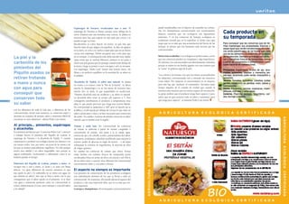 Espárragos de Navarra, recolectados uno a uno. El                  añade metabisulfito con el objetivo de camuflar los colores.
                                                                     espárrago de Navarra es blanco porque crece debajo de la
                                                                     tierra. Estamos ante una hortaliza muy curiosa. Se planta en
                                                                                                                                        Así, los champiñones convencionales son excesivamente
                                                                                                                                        blancos, mientras que los ecológicos son ligeramente           Cada producto en
                                                                     invierno pero hay que esperar un año para que crezca y se          marrones. Y en las conservas de lentejas ecológicas es
                                                                                                                                        totalmente normal que en la superficie se forme una capa
                                                                                                                                                                                                       su temporada
                                                                     pueda recoger su fruto.
                                                                     Recolectarlos es como buscar un tesoro, ya que hay que             negra que no es más que una acumulación del hierro de las      Para conseguir que las conservas que de Ve-
                                                                                                                                        lentejas, al tiempo que son bastantes más oscuras que las      ritas mantengan sus propiedades intactas y
                                                                     hacerlo antes de que salgan a la superficie. Se abre un agujero
                                                                                                                                        convencionales.                                                sepan igual que recién recolectadas, los culti-
                                                                     en la tierra, se corta y se vuelve a tapar para que en un futuro                                                                  vos están planificados de tal forma que cada
                                                                     crezca otro espárrago. Deben recogerse uno a uno para que                                                                         uno de los alimentos es elaborado en la época
                                                                                                                                        Melocotón en almíbar. Los ecológicos se pelan a mano, con lo
     La piel y la                                                    no se rompan. A continuación todo debe suceder muy rápido
                                                                     (para evitar que se vuelvan fibrosos), primero se les quita a      que sus contornos pueden ser irregulares y algo imperfectos.
                                                                                                                                                                                                       de recolección. Siempre se trabaja con verdu-
                                                                                                                                                                                                       ras y hortalizas frescas de temporada, nunca
     carbonilla de los                                               mano una piel gruesa que los protege cuando están debajo de        Al contrario, los convencionales son absolutamente redondos    a partir de congelados o concentrados como
                                                                                                                                                                                                       suele hacerse en convencional.
                                                                     la tierra y luego se ponen a cocer con agua y sal y se envasan.    porque se meten en un bombo gigante con sosa cáustica que
     pimientos del                                                   Los espárragos “Pedro Luis” tienen una textura suave, sin          se “come” la primera capa de la piel.
                                                                                                                                                                                                       Primavera. Espárragos, brotes de ajo, alca-
     Piquillo asados se                                              fibras y un perfecto equilibrio en la suavidad de su sabor en
                                                                                                                                        “Los colores y las formas a los que nos tienen acostumbrados
                                                                                                                                                                                                       chofas, guisantes, habitas y menestra (es-
                                                                                                                                                                                                       párrago, alcachofa, judía verde, champiñón y
                                                                     el paladar.
     retiran frotando                                                                                                                   los alimentos convencionales son a menudo tan atractivos       guisante).
                                                                                                                                        como falsos. Por supuesto lo mencionamos en la etiqueta,       Verano. Tomates, guindillas, cebollas, judías
     a mano y nunca                                                  Alcachofas de Tudela, el sabor más natural. Se planta
                                                                     en verano y se conoce como la “flor de la huerta”. Le afecta       pero aún hay que ‘reeducar’ al consumidor. Llevamos tanto      verdes, melocotón en almíbar, maíz, salsas y
                                                                                                                                                                                                       mermeladas.
     con agua para                                                   mucho la climatología y si en los meses de invierno hace           tiempo alejados de la comida de verdad que cuando la
                                                                                                                                        tenemos ante nuestros ojos no somos capaces de reconocerla.
                                                                                                                                                                                                       Otoño. Pimientos, pochas, espinacas, cham-
                                                                     mucho frío, se hiela, lo que imposibilita su recolección.                                                                         piñones, shii-take y seta cardo.
     conseguir que                                                   “Nuestra alcachofa está sin acidificar y su sabor es natural.      La gente prefiere que el producto tenga buen aspecto y poco    Invierno. Puerros, acelgas, legumbres, car-
                                                                                                                                                                                                       dos, borraja y repollo.
     conserven todo                                                  La alcachofa debe tener su propio pH superior a 5. Para
                                                                     conseguirlo esterilizamos el producto a temperaturas muy
                                                                                                                                        sabor, que no que conserve todo su sabor y nutrientes, pero
                                                                                                                                        que tenga peor aspecto”, se lamenta Pedro Luis Antón.
16                                                                                                                                                                                                                                                       17
     su sabor                                                        altas, lo que puede provocar que tenga una textura blanda.
                                                                     En convencional se pasteuriza a 100º pero al hacerlo así se
     con los alimentos de toda la vida que, a diferencia de los      acidifica y el pH queda por debajo de 4,6 por lo que tiene un
     convencionales, tienen más sustancia, se conservan mejor y      sabor a ácido puro y duro y se hace necesario usar correctores
     atesoran un conjunto de aromas, sabor y nutrientes difícil de   de acidez. En cambio, nuestras alcachofas conservan su sabor
     encontrar en otros alimentos”, afirma Pedro Luis Antón.         natural, que es similar al de la regaliz”.

     Al principio… pimientos, espárragos                             Tomate y nada más. En convencional las conservas
     y alcachofas                                                    de tomate se elaboran a partir de tomate congelado o
     Los primeros productos que “Conservas Pedro Luis” comenzó       concentrado de tomate, una pasta a la se añade agua,
     a trabajar fueron el pimiento del Piquillo de Lodosa, el        esencia de ajo y de cebolla, aceites, potenciadores del sabor,
     espárrago de Navarra y la alcachofa de Tudela. Y cuando         espesantes, acidulantes, almidón modificado para mejorar la
     comenzaron a producir en ecológica fueron los mismos y en       textura, jarabe de glucosa en lugar de azúcar… y así hasta
     ese mismo orden. Son, por tanto, sus joyas de la corona y de    sobrepasar la veintena de ingredientes, la mayoría de ellos
     los que se sienten especialmente orgullosos. No sólo porque     de origen químico.
     tienen una calidad y un sabor inigualable, sino porque se       En cambio las conservas de tomate que ofrece Veritas
     siguen sembrando, recolectando y elaborando como si no          están hechas con tomates frescos de temporada recién
     hubiera pasado el tiempo.                                       recolectados fritos en aceite de oliva con azúcar y sal. Ello le
                                                                     da un sabor suave y natural, muy diferente del convencional
     Pimientos del Piquillo de Lodosa, pelados a mano. Se            excesivamente dulce y con sabor a fritura.
     recogen uno a uno a mano, se lavan y se asan con llama
     directa. “La gran diferencia de nuestro pimiento es que         El aspecto no siempre es importante
     tras asarlo la piel y la carbonilla no se retira con agua (lo   Los procesos de conservación de los productos ecológicos
     que elimina su sabor), sino que se frota a mano con lo que      son radicalmente distintos de los que se llevan a cabo en
     conseguimos que el sabor quede en el pimiento. Si se hace       convencional. En ocasiones, ello puede afectar al aspecto del
     con agua o sustancias químicas como en convencional se          producto y dar una impresión falsa, que no es más que eso:
     reduce drásticamente el coste, pero siempre a costa del sabor   una impresión.
     y la calidad”.                                                  Lentejas y champiñones. En el envasado convencional se les
 