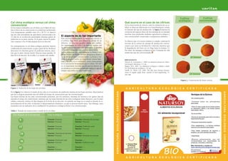 Cultivo                        Cultivo
                                                                                                                                                                                                                                                                              ecológico                    convencional
     Col china ecológica versus col china                                                                                                                                                                Qué ocurre en el caso de los cítricos
     convencional                                                                                                                                                                                        En la conservación de cítricos y ante la evaluación de su ca-
     En los ensayos realizados con col china con el objeto de estu-                                                                                                                                      lidad, se observan diferencias en el marchitamiento celular
     diar el efecto de su conservación en condiciones ambientales                                                                                                                                        en función del tipo de producción. La figura 2 muestra la
     (con temperaturas variables entre 16 y 18 ºC), se observó                                                                                                                                           evolución del aspecto físico de dos naranjas de la variedad
     que las coles procedentes de agricultura convencional a los                                                                                                                                         navelina (una producida mediante agricultura ecológica y
     15 días de su recolección presentaban síntomas graves de            El aspecto no es tan importante                                                                                                 otra convencional) conservadas a temperatura ambiente.
     pudrición en su parte externa. En la parte interna la pudri-        Para muchos consumidores la apariencia externa es
                                                                         el atributo más obvio para definir la calidad de un                                                                                                                                                               1ª Semana
     ción comenzó a los 24 días después de la recolección.                                                                                                                                               Se observa que a la octava semana es cuando comienza la
                                                                         alimento. La vista nos permite valorar dos cualida-                                                                             necrosis de la corteza de naranja de producción conven-
     En contraposición, la col china ecológica presentó mejores          des importantes: su color y su aspecto. Ambas son                                                                               cional y por tanto su devaluación comercial, mientras que
     condiciones de conservación, ya que a partir de los 36 días se      las primeras sensaciones que apreciamos y pueden                                                                                la degradación del fruto eco no llega hasta la semana 13.
     detectaron los síntomas graves de pudrición externa, mien-          incitarnos o desanimarnos a la hora de comprar.                                                                                 Por tanto, las naranjas ecológicas tienen 5 semanas de vida
     tras que la parte interna mostró frescura hasta pasados 45          En los productos eco, especialmente en frutas y ver-                                                                            media más que las convencionales.
     días de la recolección. En la tabla 1 se resume este estudio.       duras, dichas cualidades pueden desmerecer frente a
                                                                         las de los productos convencionales. La frutas y ver-                                                                                                                                                             8ª Semana
                                                                         duras ecológicas suelen ser imperfectas (tienen man-                                                                            BIBLIOGRAFÍA
                                                                         chas y su color no es uniforme), como consecuencia                                                                              Dittrich, K.; Leitzmann, C. 1998. Los alimentos bioactivos. Edito-
                                                        al
                    o
            Ecológicías                      Convencion    s
                                                                         de la ausencia de fitosanitarios en su cultivo. Por tan-                                                                        rial Integral, Barcelona, 111 pp.
            a los 36 d                         a los 15 día              to, es importante recordar que el aspecto externo de                                                                            Raigón, M.D. 2007. Los alimentos ecológicos: Calidad y salud.
                                                                         un producto es un tema puramente estético y que en                                                                              Ed. SEAE/Junta de Andalucía. 192 pp.
                                                                         ningún caso indica su valor nutricional.                                                                                        Sacilik, K.; Elicin, A.K. 2006. The thin layer drying characte-
                                                                                                                                                                                                         ristics of organic apple slices. Journal of food engineering, 73:
                                                                                                                                                                                                         281-289.                                                                         13ª Semana

10                                                                                                                                                                                                                                                                             Figura 2. Conservación de frutos cítricos                 11




     Figura 1. Pudrición de las hojas de col china                                                                                                                                                        A G R I C U LT U R A E C O L Ó G I C A C E R T I F I C A D A
     En la figura 1 se observa el estado de las coles en el momento de pudrición máxima de las hojas externas, observándose




                                                                                                                                          A G R I C U LT U R A E C O L Ó G I C A C E R T I F I C A D A




                                                                                                                                                                                                                                                                                                                                              A G R I C U LT U R A E C O L Ó G I C A C E R T I F I C A D A
                                                                                                                                    100
     que las ecológicas presentan más del doble de tiempo de conservación que las convencionales.                                                                                                                                                                                           Ventajas de la Quinoa
     Las hojas internas de las coles convencionales presentan, por los extremos, síntomas de necrosis a los quince días de          95
                                                                                                                                                                                                                                                                                            -No contiene gluten
     iniciado el ensayo de conservación, mientras que las hojas internas de las coles ecológicas tienen frescura y por lo tanto
     validez comercial, incluso 45 días después de la fecha de recolección. Un período tan largo no es usual ni durante la co-      75
                                                                                                                                                                                                                                                                                            -Contiene todos los aminoácidos
     mercialización de las coles, ni durante el almacenamiento doméstico, ya que se procesa mucho antes. Sin embargo, estos                                                                                                                                                                 esenciales
     resultados son un indicativo de la vitalidad de los productos ecológicos frente a los convencionales.
                                                                                                                                                                                                                                                            ALIMENTOS ECOLÓGICOS            -Tiene la mayor parte de los ácidos grasos
                                                                                                                                    25                                                                                                                                                      no saturados (>80%) y los ácidos grasos
                                                                                                                                                                                                                                  100%                                                      esenciales (>56%)
     Tabla 1. Período de conservación y estado de la col china                                                                                                                                                                  ecológico
                                                                                                                                    5
                                                                                                                                                                                                                                                         Un alimento excepcional            -Es rico en fibra
        Días después de la recolección                  Coles ecológicas                    Coles convencionales
                                                                                                                                    0
                                                                                                                                                                                                                                                                                            Quinoa es apropiada para todo el mundo y
                 6                                      Exterior: Frescura                  Exterior: Síntomas de necrosis                                                                                                                                                                  especialmente para

                                                        Interior: Frescura                  Interior: Frescura                                                                                                                                                                              -Personas intolerantes al gluten


                15
                                                                                                                                                                                                                                                                                            -Para vegetarianos ( la Quinoa contiene
                                                        Exterior: Frescura                  Exterior: Pudrición total                                                                                                                                                                       todos los aminoácidos esenciales)
                                                        Interior: Frescura                  Interior: Frescura
                                                                                                                                                                                                                                                                                            -Para bebés (presencia de arginina y

                 24
                                                                                                                                    100
                                                                                                                                                                                                                                                                                            histidina, así como también de lecitina
                                                        Exterior: Síntomas de necrosis      Exterior:----
                                                        Interior: Frescura                  Interior: Síntomas de necrosis          95
                                                                                                                                                                                                                                                                                            -Deportistas


                  36
                                                                                                                                    75                                                                                                                                                      -Mujeres embarazadas, que ven
                                                        Exterior: Pudrición total           Exterior:----                                                                                                                                                                                   incrementadas sus necesidades de
                                                        Interior: Frescura                  Interior: Pudrición total                                                                                                                                                                       proteínas, minerales y vitaminas...
                                                                                                                                                                                                          La Quinoa Real
                                                                                                                                                                                                             de Primeal                                                                     Más información y recetas en:
                45                                      Exterior:----                       Exterior:----                           25
                                                                                                                                                                                                             procede de                                                                     www.natursoy.es/continguts/recetas.php
                                                        Interior: Frescura                  Interior:----

                                                                                                                                                                                                                                                                  BIO
                                                                                                                                                                                                         COMERCIO JUSTO                                                                     Encuéntranos
                                                                                                                                    5                                                                      (Bio Equitable)                                                                  también en Facebook
                                                                                                                                    0


                                                                                                                                                                                                          A G R I C U LT U R A E C O L Ó G I C A C E R T I F I C A D A
 