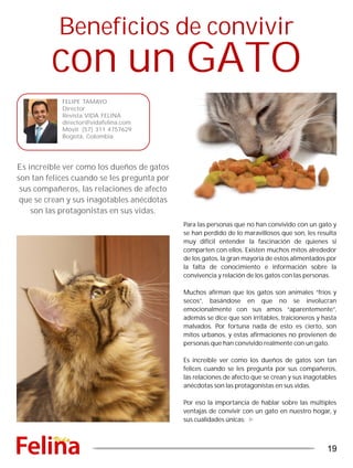 Beneficios de convivir
con un GATO
Es increíble ver como los dueños de gatos
son tan felices cuando se les pregunta por
sus compañeros, las relaciones de afecto
que se crean y sus inagotables anécdotas
son las protagonistas en sus vidas.
FELIPE TAMAYO
Director
Revista VIDA FELINA
director@vidafelina.com
Móvil: (57) 311 4757629
Bogotá, Colombia
Para las personas que no han convivido con un gato y
se han perdido de lo maravillosos que son, les resulta
muy difícil entender la fascinación de quienes si
comparten con ellos. Existen muchos mitos alrededor
de los gatos, la gran mayoría de estos alimentados por
la falta de conocimiento e información sobre la
convivencia y relación de los gatos con las personas.
Muchos afirman que los gatos son animales “fríos y
secos”, basándose en que no se involucran
emocionalmente con sus amos “aparentemente”,
además se dice que son irritables, traicioneros y hasta
malvados. Por fortuna nada de esto es cierto, son
mitos urbanos, y estas afirmaciones no provienen de
personas que han convivido realmente con un gato.
Es increíble ver como los dueños de gatos son tan
felices cuando se les pregunta por sus compañeros,
las relaciones de afecto que se crean y sus inagotables
anécdotas son las protagonistas en sus vidas.
Por eso la importancia de hablar sobre las múltiples
ventajas de convivir con un gato en nuestro hogar, y
sus cualidades únicas:
19
 