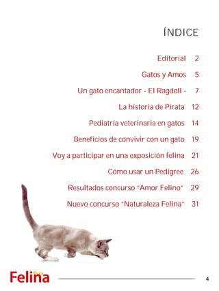 Editorial 2
Gatos y Amos 5
Un gato encantador - El Ragdoll - 7
La historia de Pirata 12
Pediatría veterinaria en gatos 14
Beneficios de convivir con un gato 19
Voy a participar en una exposición felina 21
Cómo usar un Pedigree 26
Resultados concurso “Amor Felino” 29
Nuevo concurso “Naturaleza Felina” 31
4
ÍNDICE
 