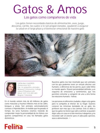 Gatos & AmosLos gatos como compañeros de vida
Los gatos tienen necesidades básicas de alimentación, aseo, juego,
descanso, cariño, las cuales si le son proporcionadas, ayudarán a asegurar
la salud en el largo plazo y el bienestar emocional de nuestro gato
CATALINA CUADROS
Zootecnista ULS
Esp. en pequeños animales
Broward Community College.
catacc27@yahoo.com
Móvil: (57) 310 2051483
Bogotá, Colombia
En el mundo existen más de 60 millones de gatos
como mascotas y muchos millones más en las calles,
bosques y selvas. Son animales extremadamente
curiosos e impredecibles. A medida que ha pasado el
tiempo, los seres humanos estamos tratando de
comprender mejor la personalidad de los felinos con
quienes compartimos en casa, los llamados gatos
domésticos.
Nuestros gatos nos han mostrado que son animales
con los que podemos tener un vínculo afectivo casi
humano, a diferencia de los perros, pues cada felino
es mundo aparte. Poseen personalidad definida, y un
esquema de emociones y sentimientos, que nos
permiten estrechar y compartir de una u otra forma
las relaciones humano - felinas.
Las personas en diferentes ciudades, eligen a los gatos
para la compañía al interior de su hogar. Quienes
conocen las inmensas bondades de un gato, los
prefieren aún más que a los caninos. Esto se debe a
que los gatos no tienen que salir a caminar, se pueden
dejar solos en casa en el día mientras trabajamos y no
necesitan salir al exterior para el adecuado ejercicio,
aseo o alimentación.
5
 