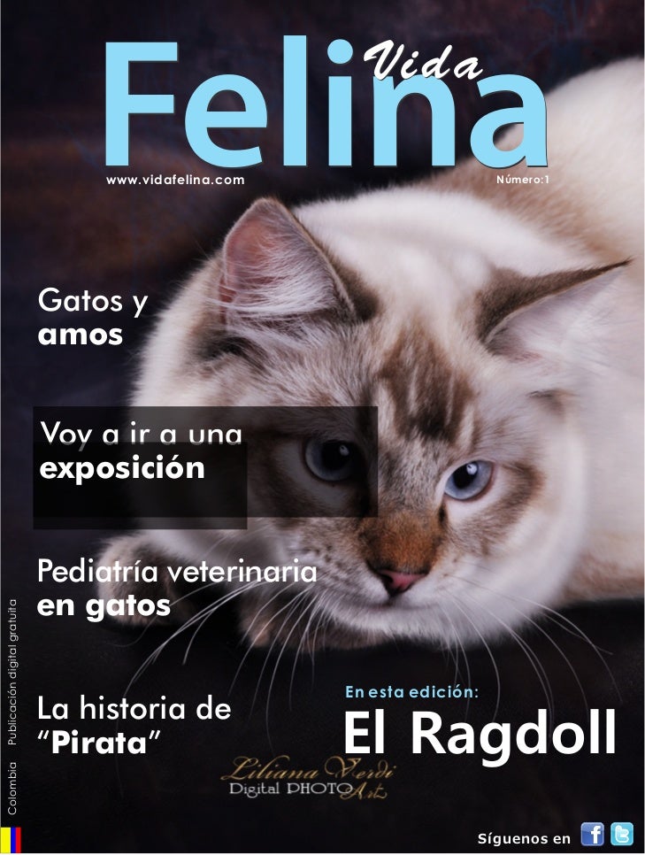 Revista VIDA FELINA 1ra Edición