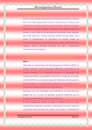 Microorganismos Eficaces

El EM. ha sido utilizado exitosamente en diferentes ambientes y distintos
fines. En el sector agropecuario, tanto en suelos como en cultivos, en el
tratamiento de residuos orgánicos, aguas residuales, reducción de plagas,
eliminación de olores molestos producidos por descomposición de
excretas y orina. El EM ha sido aprobado en importantes países alrededor
del mundo (Alemania, Holanda, Noruega, España Portugal, Japón, entre
otros).

El

Departamento

de

Agricultura

de

Estados

Unidos

de

Norteamérica incluye los microorganismos que forman el EM dentro de la
categoría

G.R.A.S.

(Generally

Reconized

As

Safe

/

Reconocidos

Generalmente Como Seguros).

EM-A
Utilizando la mezcla básica de Microorganismo Efectivos (EM1), se
pueden producir varios preparados diferentes, dependiendo de
nuestra intención en su aplicación posterior. El preparado más
utilizado es el EM-A, que significa "EM Activo", producido al mezclar
un 5% de EM1 con un volumen igual de melaza de caña de azúcar y
manteniéndolo a una temperatura constante de unos 30ºC en un
contenedor sellado durante una o dos semanas.
Entonces se ha de comprobar el pH del EM-A. Si el pH está por
debajo de 3,5 y el olor es agridulce entonces sabremos que el
proceso de fermentación del EM se ha realizado.
El EM-A puede ser diluido en agua y utilizado para una gran
variedad de propósitos, incluida la eliminación de malos olores al
pulverizarlo sobre animales de granja y sus cuadras, o añadiéndolo

Urquiaga Rivero Liz

Página 11

 