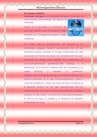 Microorganismos Eficaces
En el medio ambiente
Purificación del agua: Los microorganismos tienen mucho que ver
con el proceso de purificación del agua en la
naturaleza.
Incluso en la tecnología de purificación del
agua más reciente, como el proceso de lodos
activados, los microorganismos juegan un papel
importante.
Para poder hacer la auto-depuración del agua bien en los
ecosistemas indígenas funciona

correctamente con un rico

ecosistema acuático pirámide. En el agua contaminada con lodo
acumulado en el fondo y los olores, hay una disminución de autodepuración de energía como resultado de la dominación de
los microorganismos de

putrefacción. Esto

conduce

a

la

disminución de la nutrición necesaria para los ecosistemas y así
pueda

funcionar

y

mantener

su

purificación.

Aplicado a la contaminación del agua y putrefacción, EM tiene una
posición dominante en la capa de microorganismos y ayuda a
revivir los ecosistemas y reducir los olores del lodo. Los efectos de
la aplicación de EM no es crear agua aparentemente clara por
medios químicos, sino revivir la función natural de los ecosistemas
acuáticos. En este sentido, la función de la sobrecarga de drenaje y
el volumen de agua, la cantidad y la frecuencia de aplicación
de EM deben ser varios.

Urquiaga Rivero Liz

Página 18

 