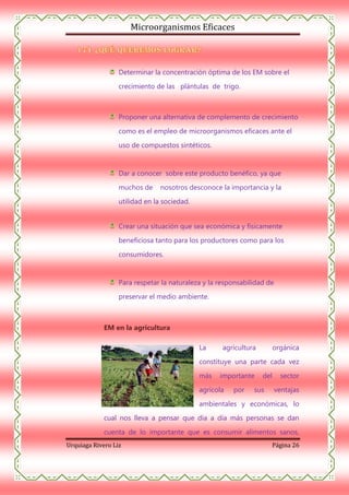 Microorganismos Eficaces

Determinar la concentración óptima de los EM sobre el
crecimiento de las plántulas de trigo.

Proponer una alternativa de complemento de crecimiento
como es el empleo de microorganismos eficaces ante el
uso de compuestos sintéticos.

Dar a conocer sobre este producto benéfico, ya que
muchos de

nosotros desconoce la importancia y la

utilidad en la sociedad.
Crear una situación que sea económica y físicamente
beneficiosa tanto para los productores como para los
consumidores.

Para respetar la naturaleza y la responsabilidad de
preservar el medio ambiente.

EM en la agricultura
La

agricultura

orgánica

constituye una parte cada vez
más

importante

agrícola

por

del

sus

sector
ventajas

ambientales y económicas, lo
cual nos lleva a pensar que día a día más personas se dan
cuenta de lo importante que es consumir alimentos sanos,
Urquiaga Rivero Liz

Página 26

 