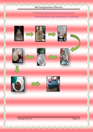 Microorganismos Eficaces
Finalmente dejamos reposar por una semana los
microorganismos y luego aplicaremos a las plántulas.

1

2

3

5

4
6

7

8

Urquiaga Rivero Liz

Página 32

 