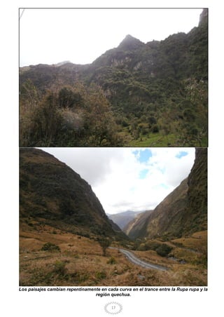 17
Los paisajes cambian repentinamente en cada curva en el trance entre la Rupa rupa y la
región quechua.
 