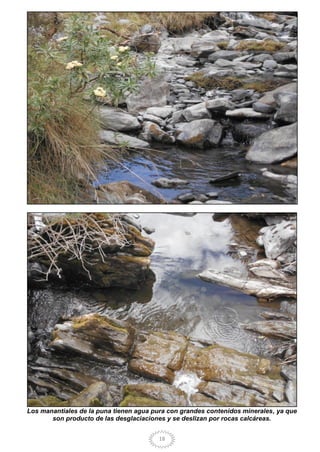 18
Los manantiales de la puna tienen agua pura con grandes contenidos minerales, ya que
son producto de las desglaciaciones y se deslizan por rocas calcáreas.
 