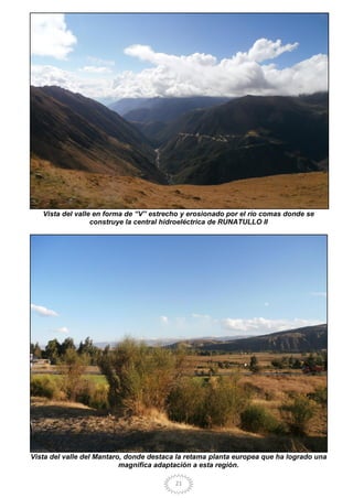 21
Vista del valle en forma de “V” estrecho y erosionado por el río comas donde se
construye la central hidroeléctrica de RUNATULLO II
Vista del valle del Mantaro, donde destaca la retama planta europea que ha logrado una
magnifica adaptación a esta región.
 