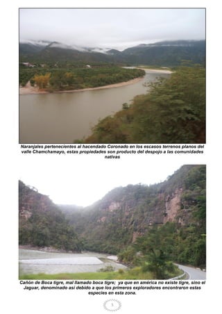 5
Naranjales pertenecientes al hacendado Coronado en los escasos terrenos planos del
valle Chamchamayo, estas propiedades son producto del despojo a las comunidades
nativas
Cañón de Boca tigre, mal llamado boca tigre; ya que en américa no existe tigre, sino el
Jaguar, denominado así debido a que los primeros exploradores encontraron estas
especies en esta zona.
 