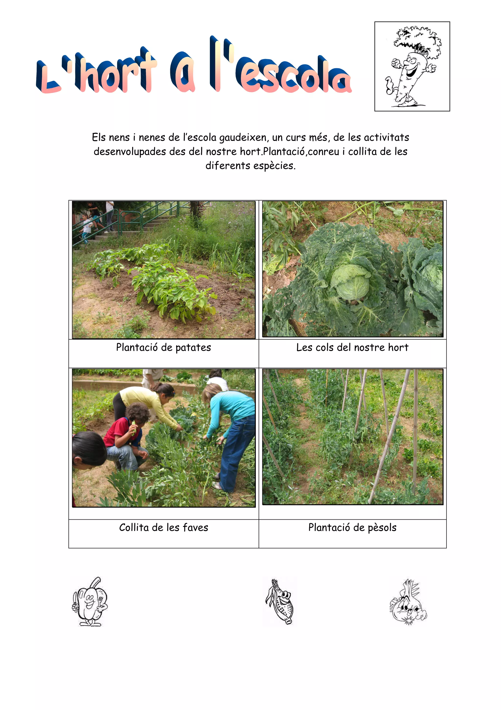 Els nens i nenes de l’escola gaudeixen, un curs més, de les activitats
desenvolupades des del nostre hort.Plantació,conreu i collita de les
                         diferents espècies.




     Plantació de patates                    Les cols del nostre hort




      Collita de les faves                     Plantació de pèsols
 