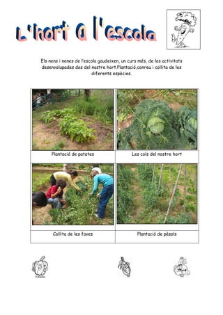 Els nens i nenes de l’escola gaudeixen, un curs més, de les activitats
desenvolupades des del nostre hort.Plantació,conreu i collita de les
                         diferents espècies.




     Plantació de patates                    Les cols del nostre hort




      Collita de les faves                     Plantació de pèsols
 