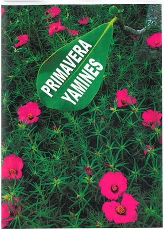 Revista Yamines primavera 2012