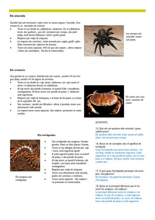 Els aràcnids

Gairebé tots són terrestres i solen viure en zones seques i humides. Una
aranya és un exemples de aràcnid.
      Tenen el cos dividit en: cefalotòrax i abdomen. En el cefalotòrax
       tenen dos quelícers , que els i serveixen per menjar, dos pedi-
                                                                                                                      Les aranyes són
       palps, amb funció defensiva i tàctil i quatre potes.
                                                                                                                      aràcnids i tenen
      Respiren per mitjà de tràquees.
                                                                                                                      vuit potes.
      La majoria són carnívors , estan proveïts per ungles, garfis i glàn-
       dules verinoses per capturar les presses.
      Tenen els sexes separats. N’hi ha que són ovípars , altres vivípara
       i altres són ovovivípars . No fan la metamorfosi.




Els crustacis

Una gamba és un crustaci. Gairebé tots són marins , també n’hi ha d’ai-
gua dolça, també n’hi ha alguns de terrestre.
      Tenen el cos dividit en: cap, tòrax i abdomen, tot i que sovint el
       tòrax i el abdomen formen el cefalotòrax.
      Al cap tenen dos parells d’antenes, un parell d’ulls i mandíbules
       mastegadores. Al tòrax tenen cinc parells de potes. L ‘abdomen
       està segmentat.
      Respiren per mitjà de brànquies, a la base de les potes o a través                                             Els crancs són crus-
       de la superfície del cos.                                                                                      tacis i caminen de
                                                                                                                      costat.
      Són carnívors , també són filtradors i altres d paràsits, tenen una
       alimentació molt variada.
      La majoria tenen sexes separats. Són ovípars i presenten la meta-
       morfosi.


                                                                                     ACTIVITATS

                                                                                     15. Què són els quelícers dels aràcnids i quina
                                                                                     utilitat tenen?
                            Els miriàpodes                                           Els quelícers dels aràcnids, estan situats al cefalo-
                                                                                     tòrax i els serveixen per menjar.
                                          Són miriàpodes els centpeus, l’escolo-
                                           pendra. Viuen en llocs foscos i humits.   16. Busca en els conceptes clau el significat de
                                          Tenen el cos allargat, format per: cap    miriàpode.
                                           i tronc, amb segments iguals.             Grup d’artròpodes que tenen dues antenes i un
                                                                                     cos llarg i dividit en nombrosos segments. Cada
                                          A cada segment poden tenir un parell
                                                                                     segment té un o dos parells de potes, com el cent-
                                           de potes, o dos parells de potes.
                                                                                     peus o el milpeus. Del grec myriás: molt nombrós,
                                          Al cap tenen un parell d’antenes, ulls
                                                                                     i podós: peu.
                                           simples i una boca amb mandíbula
                                           mastegadora.
                                          Respiren per mitjà de tràquees.
                                                                                     17. A quin grup d’artròpodes pertanyen els escor-
                                          Tenen una alimentació molt variada,       pins i les paparres?
     Els centpeus són                      poden ser carnívors o herbívors.          Els escorpins i les paparres pertanyen el grup
     miriàpodes.                          Tenen sexes separats . Són ovípars i      d’artròpodes.
                                           no presenten la metamorfosi.
                                                                                     18. Quina és la principal diferència que hi ha
                                                                                     entre els centpeus i els milpeus?
                                                                                     La principal diferencia entre els centpeus i els
                                                                                     milpeus, és que els centpeus, a cada segment
                                                                                     tenen un parell de potes, i en canvi, els milpeus
                                                                                     tenen dos parells de potes a cada segement.
 