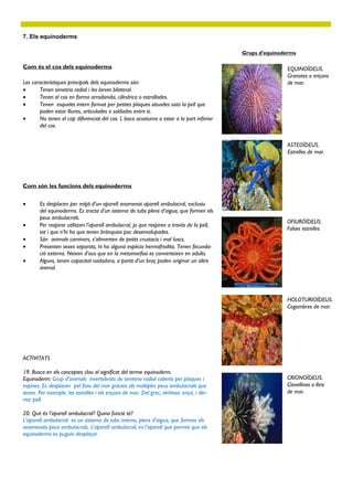 7. Els equinoderms

                                                                                            Grups d’equinoderms

Com és el cos dels equinoderms                                                                              EQUINOÏDEUS.
                                                                                                            Granotes o eriçons
Les característiques principals dels equinoderms són:                                                       de mar.
      Tenen simetria radial i les larves bilateral.
      Tenen el cos en forma arrodonida, cilíndrica o estrallades.
      Tenen esquelet intern format per petites plaques situades sota la pell que
       poden estar lliures, articulades o soldades entre si.
      No tenen el cap diferenciat del cos. L boca acostuma a estar a la part inferior
       del cos.


                                                                                                            ASTEOÏDEUS.
                                                                                                            Estrelles de mar.




Com són les funcions dels equinoderms


       Es desplacen per mitjà d’un aparell anomenat aparell ambulacral, exclusiu
        del equinoderms. Es tracta d’un sistema de tubs plens d’aigua, que formen els
        peus ambulacrals.
                                                                                                           OFIURÓÏDEUS.
       Per respirar utilitzen l’aparell ambulacral, ja que respiren a través de la pell,
                                                                                                           Falses estrelles
        tot i que n’hi ha que tenen brànquies poc desenvolupades.
       Són animals carnívors, s’alimenten de petits crustacis i mol·luscs.
       Presenten sexes separats, hi ha alguna espècia hermafrodita. Tenen fecunda-
        ció externa. Neixen d’ous que en la metamorfosi es converteixen en adults.
       Alguns, tenen capacitat nadadora, a partit d’un braç poden originar un altre
        animal.




                                                                                                           HOLOTURIOÏDEUS.
                                                                                                           Cogombres de mar.




ACTIVITATS

19. Busca en els conceptes clau el significat del terme equinoderm.
Equinoderm: Grup d’animals invertebrats de simetria radial coberts per plaques i                           CRIONOÏDEUS.
espines. Es desplacen pel fons del mar gràcies als múltiples peus ambulacrals que                          Clavellines o lliris
tenen. Per exemple, les estrelles i els eriçons de mar. Del grec, ekhînos: eriçó, i dér-                   de mar.
ma: pell.

20. Què és l’aparell ambulacral? Quina funció té?
L’aparell ambulacral es un sistema de tubs interns, plens d’aigua, que formen els
anomenats peus ambulacrals. L’aparell ambulacral, es l’aparell que permet que els
equinoderms es puguin desplaçar.
 