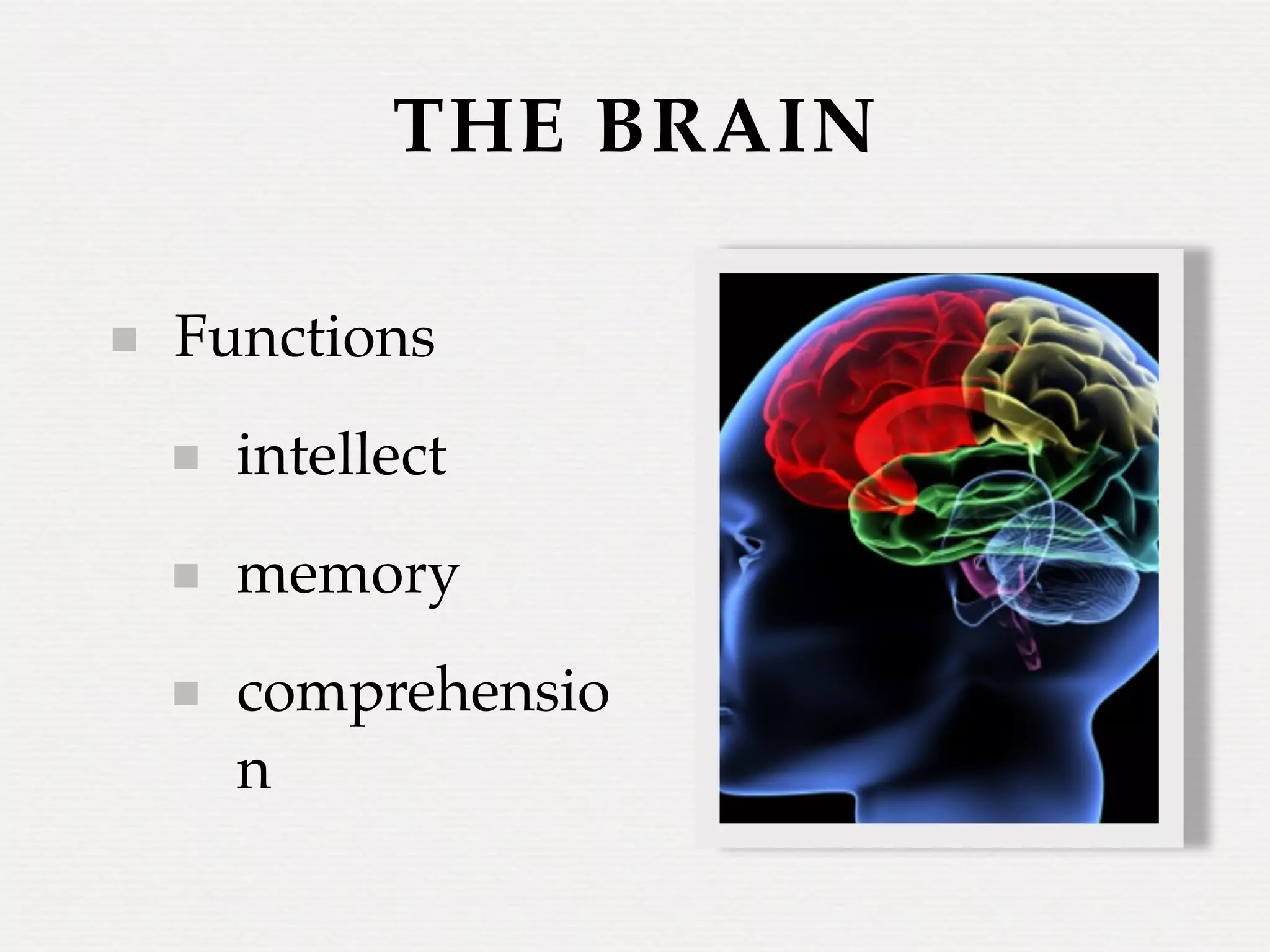 THE BRAIN

Functions
  intellect
  memory
  comprehensio
  n
 