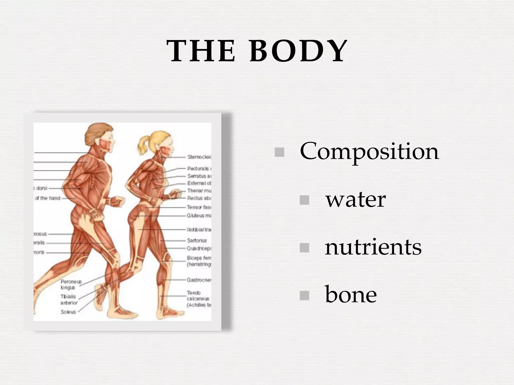 THE BODY


     Composition
       water
       nutrients
       bone
 