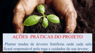 AÇÕES PRÁTICAS DO PROJETO
Plantar mudas de árvores frutíferas onde cada sala
ficará responsável pela rega e cuidados de sua árvore;
 