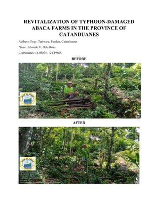 REVITALIZATION OF TYPHOON-DAMAGED
ABACA FARMS IN THE PROVINCE OF
CATANDUANES
Address: Brgy. Tariwara, Pandan, Catanduanes
Name: Eduardo V. Dela Rosa
Coordinates: 14.05075, 124.19665
BEFORE
AFTER
 