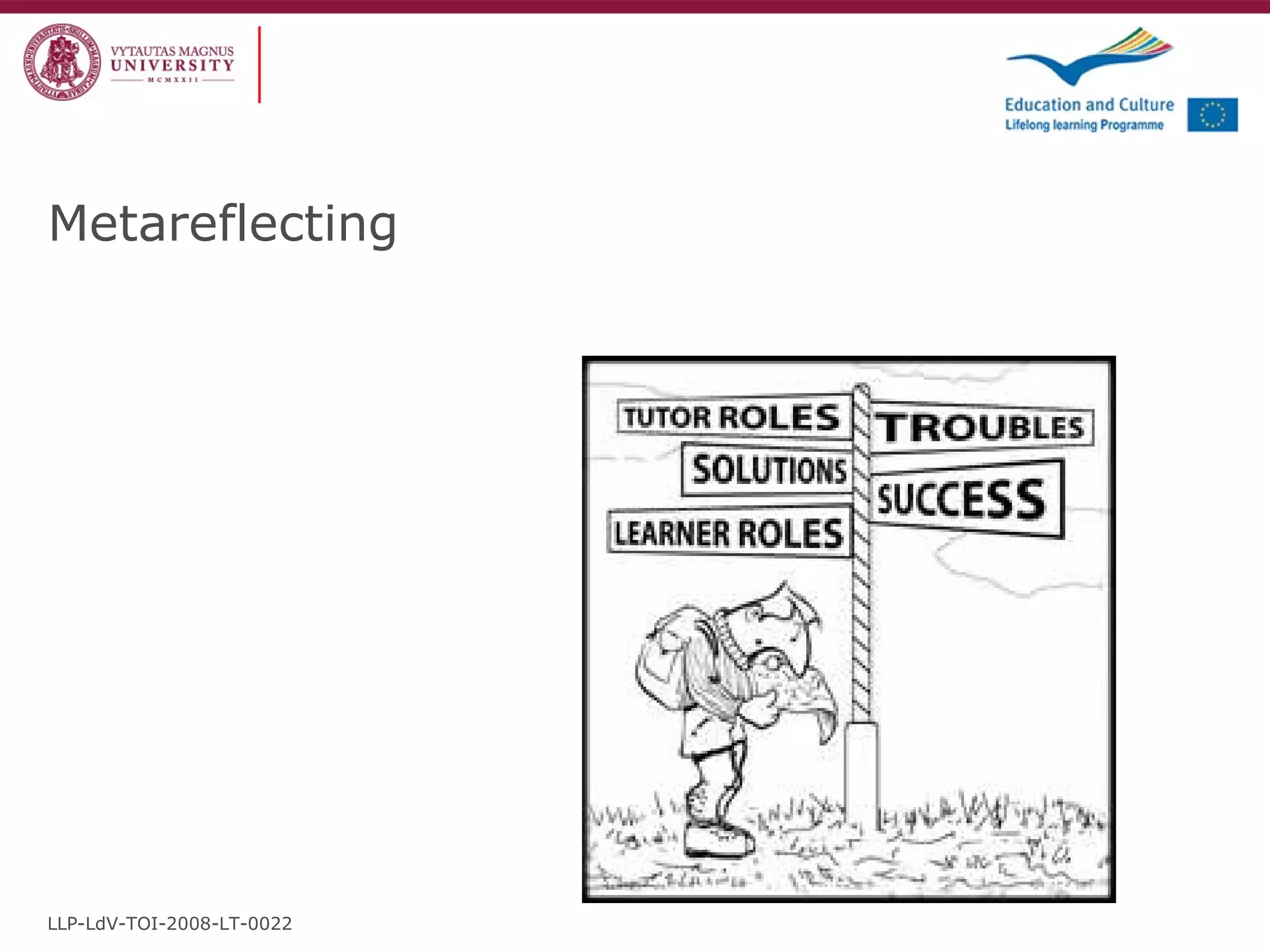 Metareflecting LLP-LdV-TOI-2008-LT-0022 