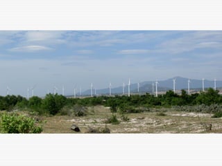 Tuy Phong wind power plant  lessons learnt