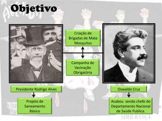 Objetivo
Projeto de
Saneamento
Básico
Presidente Rodrigo Alves Oswaldo Cruz
Campanha de
Vacinação
Obrigatória
Acabou sendo chefe do
Departamento Nacional
de Saúde Publica.
 