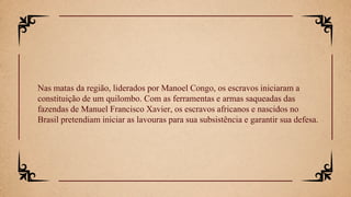Nas matas da região, liderados por Manoel Congo, os escravos iniciaram a
constituição de um quilombo. Com as ferramentas e armas saqueadas das
fazendas de Manuel Francisco Xavier, os escravos africanos e nascidos no
Brasil pretendiam iniciar as lavouras para sua subsistência e garantir sua defesa.
 