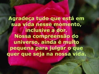 Agradeça tudo que está em sua vida nesse momento, inclusive a dor.Nossa compreensão do universo, ainda é muito pequena para julgar o que quer que seja na nossa vida.