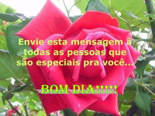 Envie esta mensagem à todas as pessoas que são especiais pra você...BOM DIA!!!!!