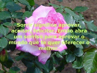 Sorrir significa aprovar, aceitar, felicitar. Então abra um sorriso para aprovar o mundo que te quer oferecer o melhor.