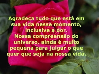Agradeça tudo que está em
 sua vida nesse momento,
      inclusive a dor.
  Nossa compreensão do
  universo, ainda é muito
 pequena para julgar o que
quer que seja na nossa vida.
 