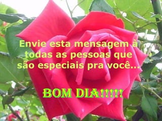 Envie esta mensagem à todas as pessoas que são especiais pra você... BOM DIA!!!!! 