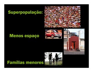 Analógico x Digital